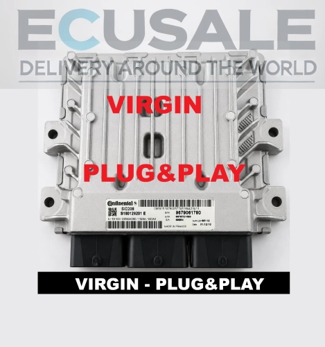 Centralina del Motore ECU S180129201E  SID208