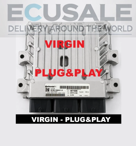 centralina del motore ECU S180129001K  SID208